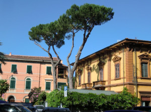 Budovy na nábřeží řeky Arno